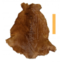 Peau Entière Cuir de Kangourou à poils Marron