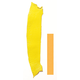 Peau Flanc de Crocodile Jaune