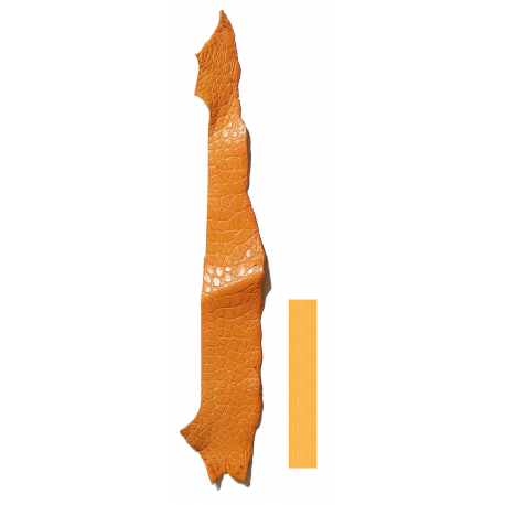 Peau Flanc de Crocodile Orange