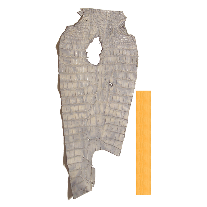 Peau Flanc de Crocodile Blanc/Beige