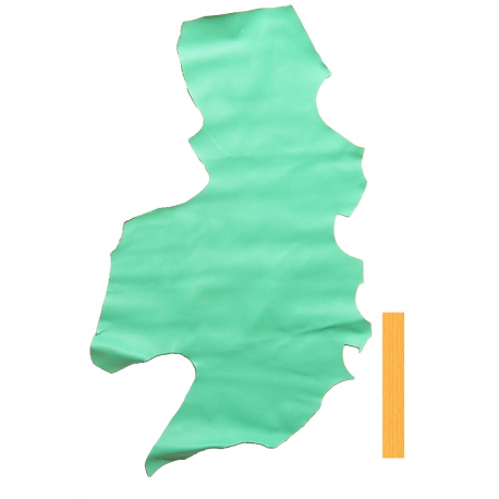 Peau Veau Lisse Vert Tannerie Pomari