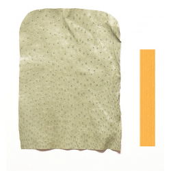 Autruche Vert pastel