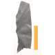 Autruche Gris Bleu