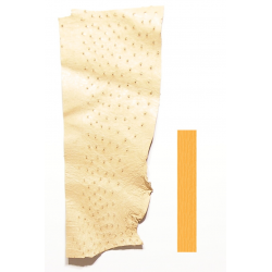 Autruche Beige Marron