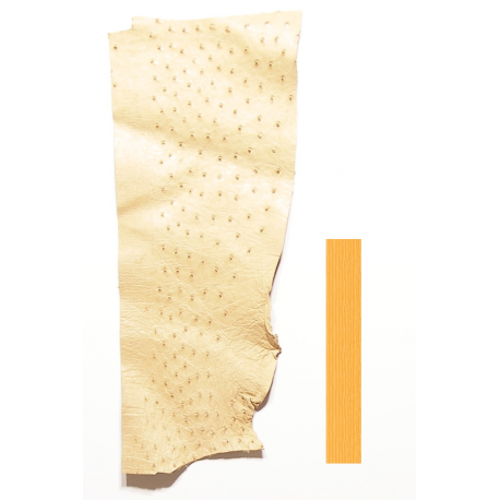 Autruche Beige Marron
