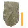 Autruche Vert Tortue