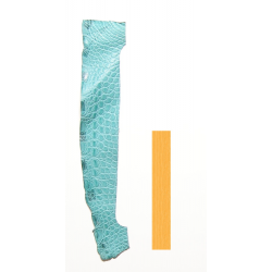 Peau Flanc de Crocodile Vert d'eau