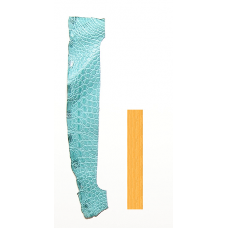 Peau Flanc de Crocodile Vert d'eau