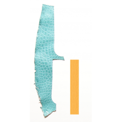 Peau Flanc de Crocodile Vert d'eau