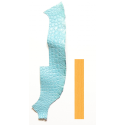 Peau Flanc de Crocodile Vert d'eau