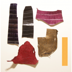 Lot chutes de cuir de Crocodile Multi-couleurs