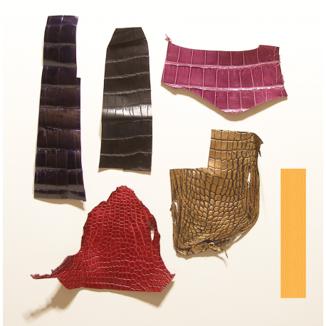 Lot chutes de cuir de Crocodile Multi-couleurs