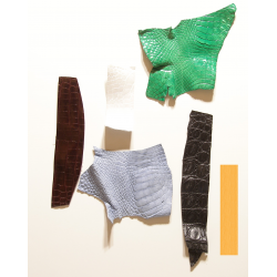 Lot chutes de cuir de Crocodile Multi-couleurs