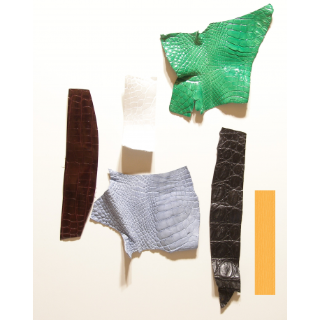 Lot chutes de cuir de Crocodile Multi-couleurs
