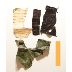 Lot chutes de cuir de Crocodile Multi-couleurs