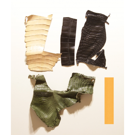 Lot chutes de cuir de Crocodile Multi-couleurs