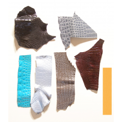 Lot chutes de cuir de Crocodile Multi-couleurs