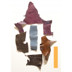 Lot chutes de cuir de Crocodile Multi-couleurs