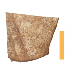 Vachette Tannage Végétal Marron Vintage