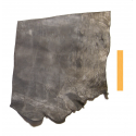 Collet de Vachette Noir Blanchi Vintage Tannage Végétal