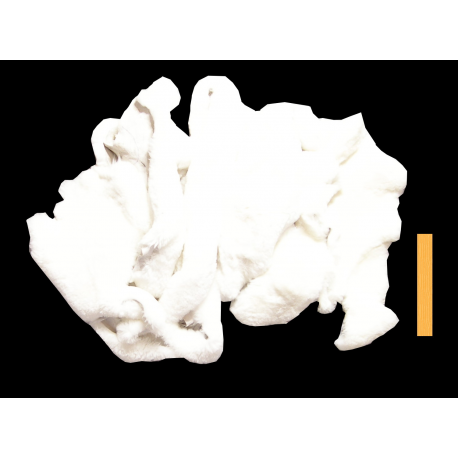 1kg Chutes Mouton à Poils Blanc