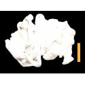 1kg Chutes Mouton à Poils Blanc