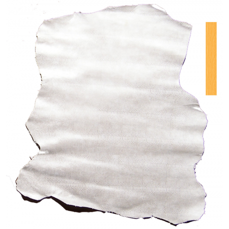 Peau Entière Cuir de Chèvre Imprimé serpent Gris Argent sur Fond Blanc