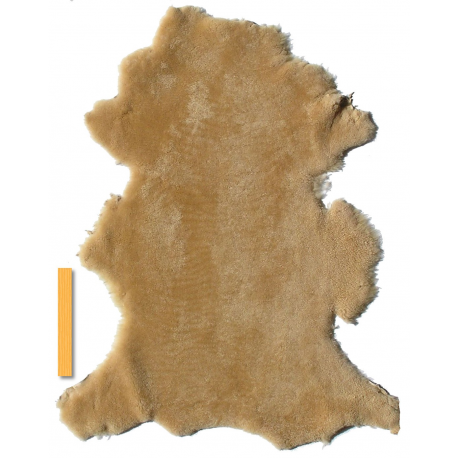 Peau Entière Mouton Lainée miel