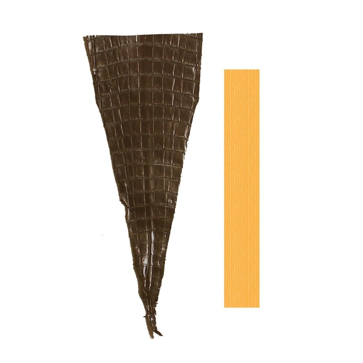 Peau Queue de Crocodile Graphite